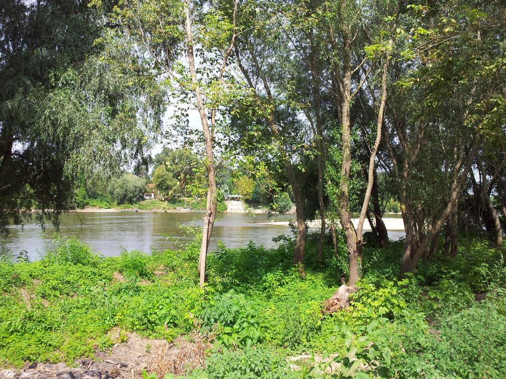 Pensiunea Lunca Arad Exterior photo