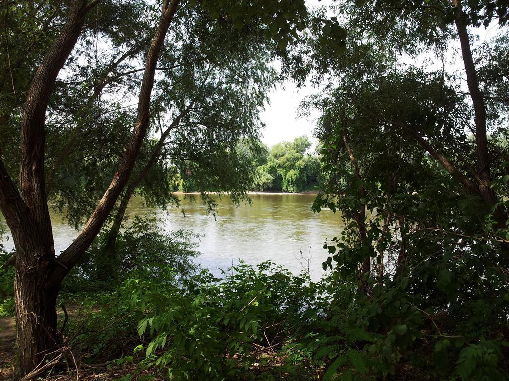 Pensiunea Lunca Arad Exterior photo